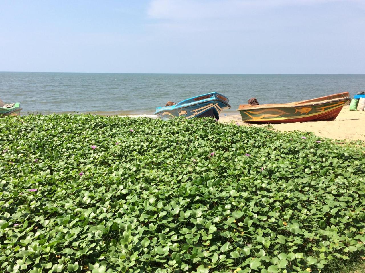 The Alexis'S Guest House Negombo Exterior foto